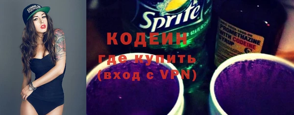 хмурый Арсеньев