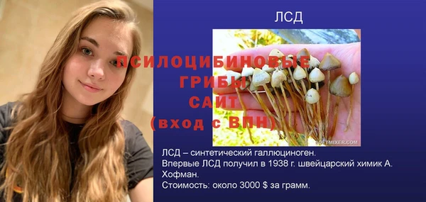 экстази Алексин