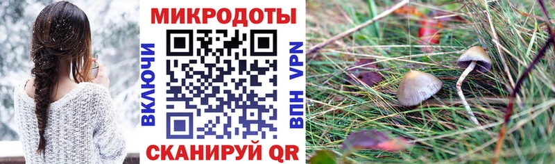 Псилоцибиновые грибы ЛСД Новороссийск