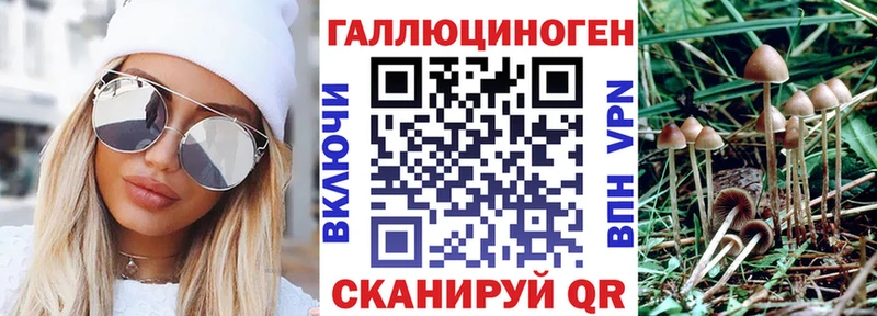 blacksprut   Новороссийск  Псилоцибиновые грибы MAGIC MUSHROOMS 