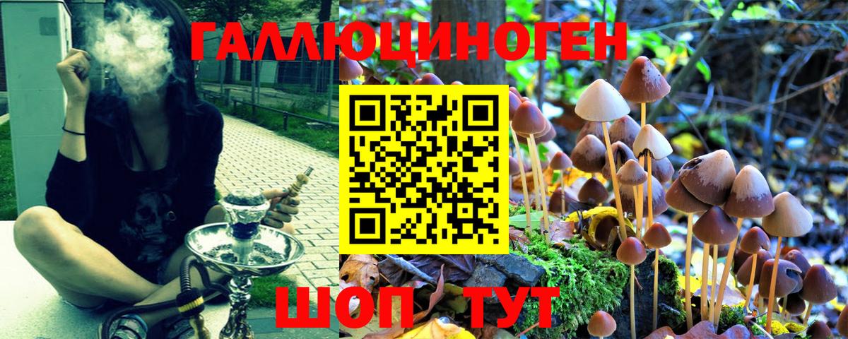 Галлюциногенные грибы мицелий  Вход с VPN  Новороссийск  наркошоп  Галлюциногенные грибы ЛСД 